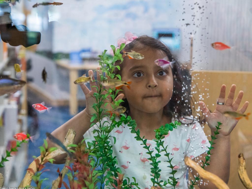 សម្ភារៈលេង: ការប្រើប្រាស់ និងអត្ថប្រយោជន៍