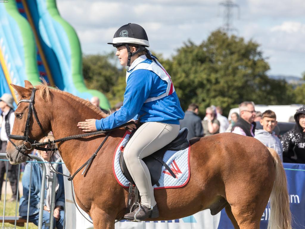 យុទ្ធសាស្ត្រលេង: ការលេងដើម្បីជោគជ័យ