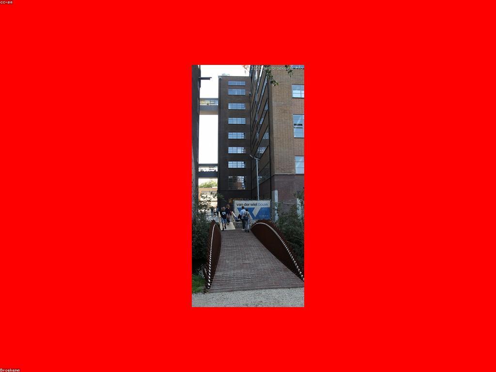 វិធីលេងដ៏ខុសគ្នា