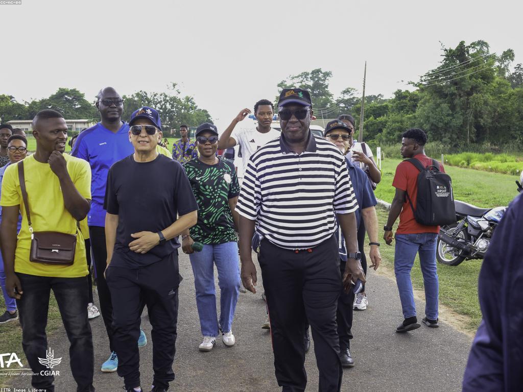 ការលេងនានា: សំរាប់ភាពសប្បាយរីករាយ និងការស្វែងយល់